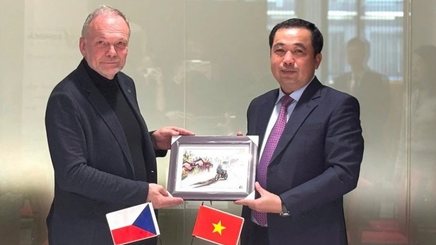 Hai Duong steps up investment, labour cooperation with Czech Republic